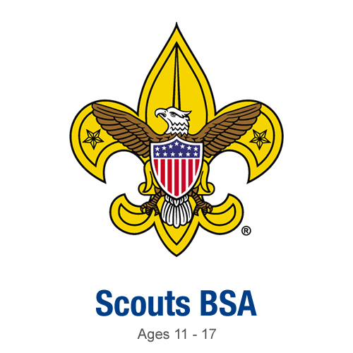 Scouts BSA square